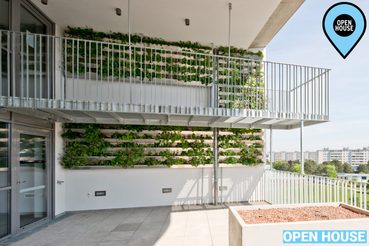 Open House 2021-wabe23 Urban Gardening-2
