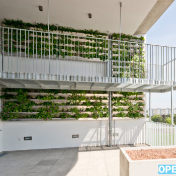 Open House 2021-wabe23 Urban Gardening-2